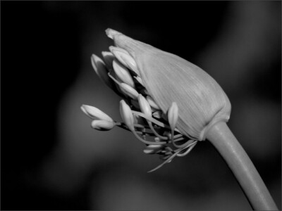 Opening © Cushla Thornton-Brown Opening © Cushla Thornton-Brown