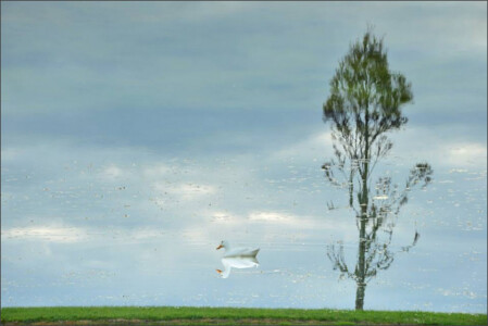 Wanderer © Arnel Pastrana Wanderer © Arnel Pastrana